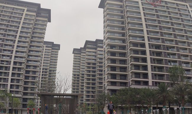 項(xiàng)目建設(shè)成果。滿茂奇 攝（修圖）.jpg