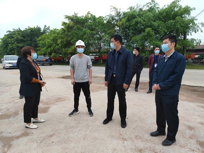 秦義敏（右二）在項目視察指導工作。梁凱 攝(修圖）.jpg